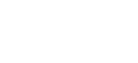 FPT Software
